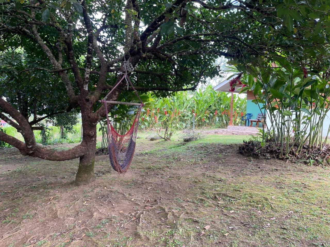Cabana Rural Ave Del Paraiso La Fortuna Exteriör bild