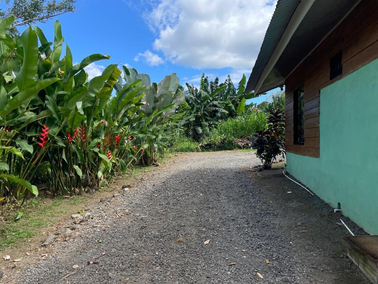 Cabana Rural Ave Del Paraiso La Fortuna Exteriör bild